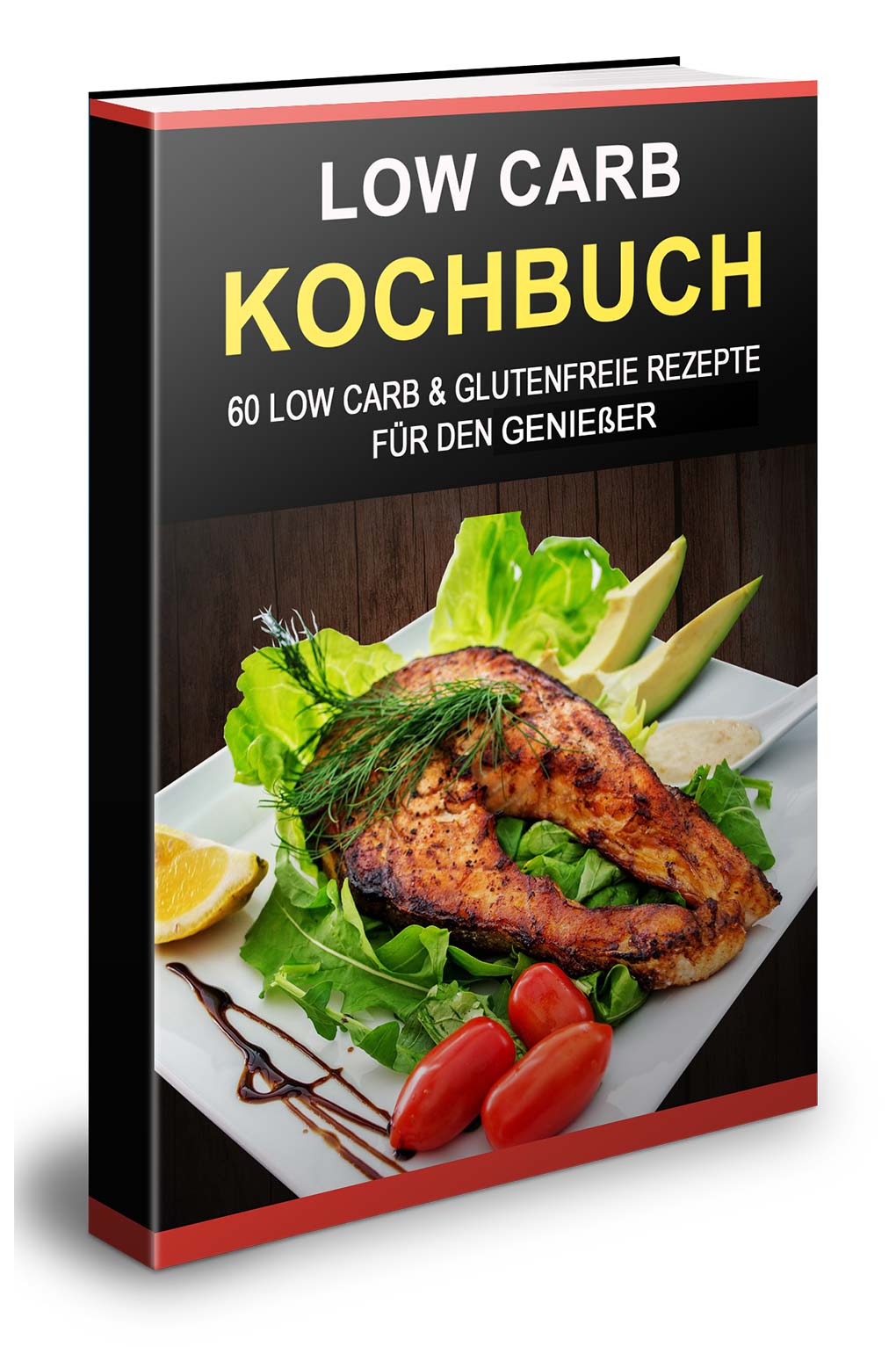 Low Carb Diät Kochbuch mit PLR